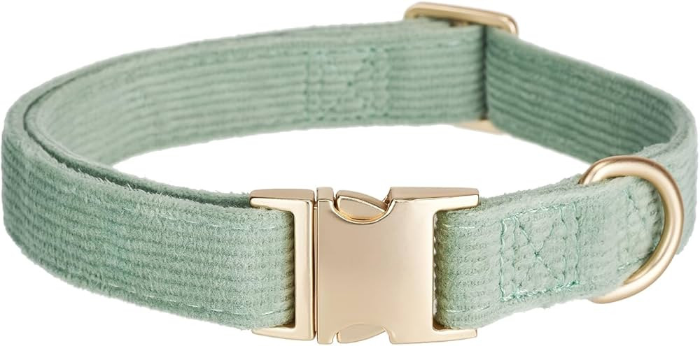 Ewinoom Soft Dog Collar with Metal Buckle Adjustable Durable Comfort Cotton Corduroy Collars for ... | Amazon (US)