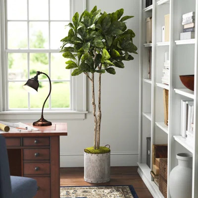 Fiddle Leaf Fig Tree Foliage Plant in Planter Three Postsâ¢ | Wayfair North America