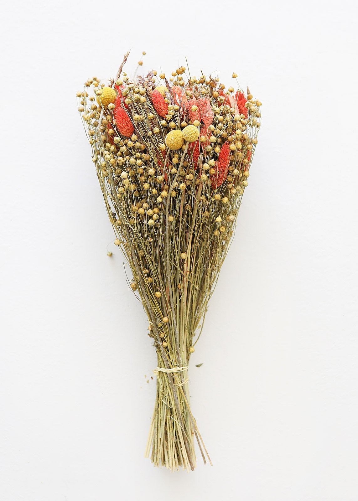 Yellow Billy Button and Coral Grass Dried Flower Bouquet - 20" Tall | Afloral (US)