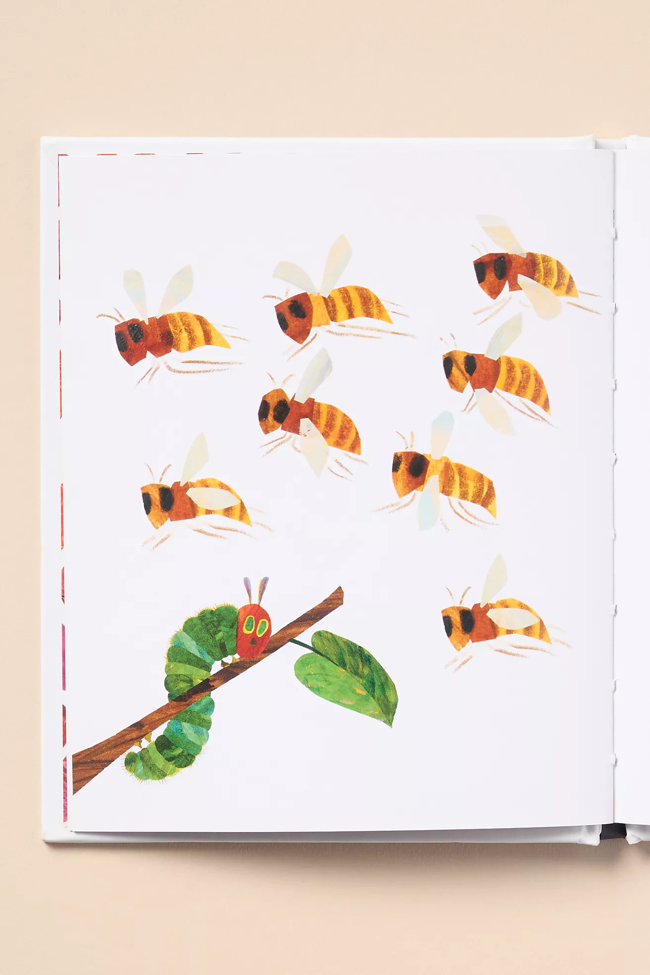 Love from The Very Hungry Caterpillar | Anthropologie (US)