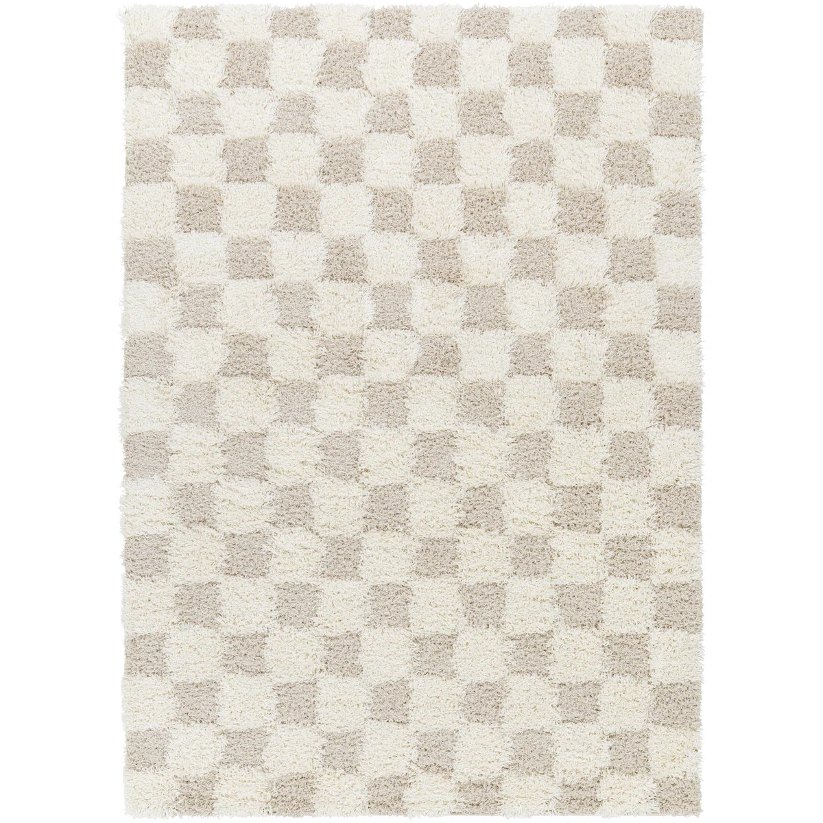 Molly Checkered Indoor Rug | Wayfair North America