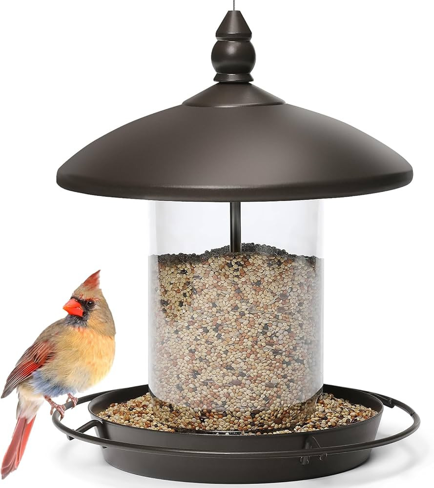 Metal Roof Bird Feeder - Chew Proof for Outdoor Hanging Wild Bird Seeds. Bronze | Amazon (US)