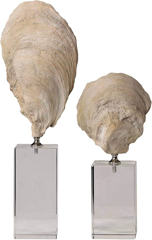 Uttermost Oyster Shell Aged Ivory Sculptures Set of 2 | Amazon (US)