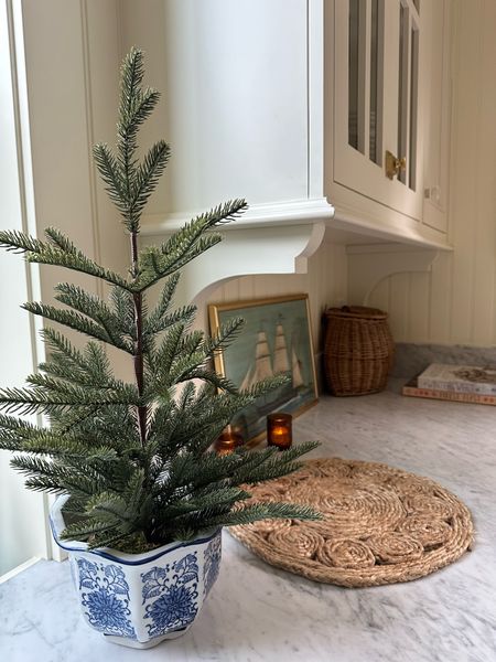 Faux christmas tree (comes in a pretty rattan basket and also fits in this blue and white pot) 

#LTKHoliday #LTKSeasonal #LTKhome