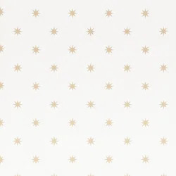 Schumacher Stargaze 27' L x 27" W Roll | Wayfair North America