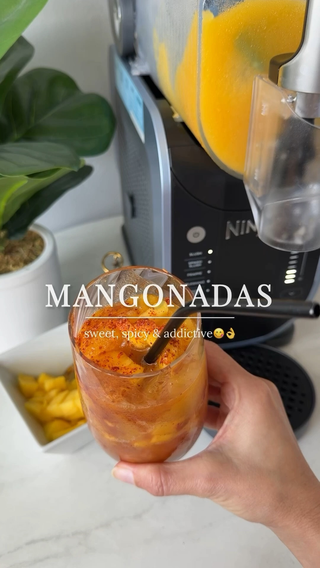 Summer cravings were handled immediately 🥭🌶️✨ Homemade mangonadas in the Ninja Slushi just hit different!

Mango pieces + Chamoy + Tajín + mango nectar = ultimate sweet & spicy treat

Ninja Slushi, mangonadas, mango drink, sweet treat, summer drink, frozen drink, slushies, glass, spoon, faux plant, white bowl, square bowl

#LTKfoodie #LTKHome #LTKdayinmylife