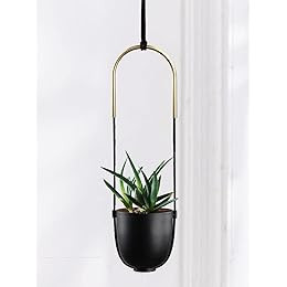 Umbra Bolo Hanging Planter | Amazon (US)