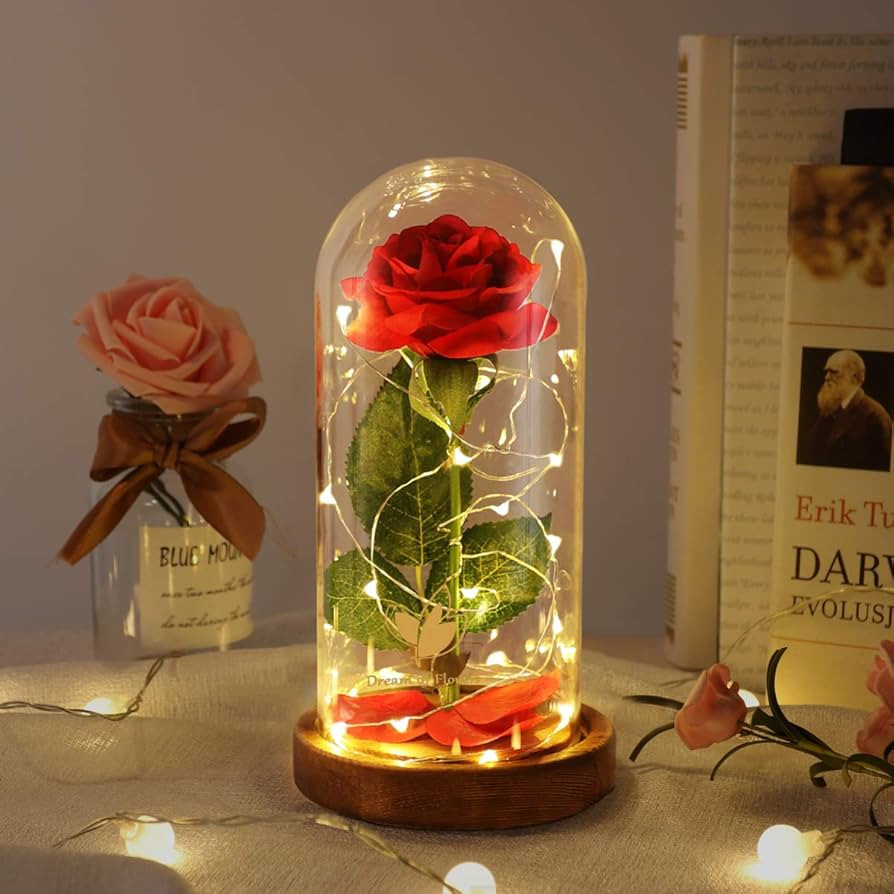 Dream of Flowers Beauty and The Beast Rose, Valentines Day Gifts for her, Birthday Gift for Women... | Amazon (US)