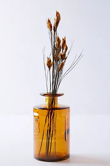 Blossom and Blooms Apothecary Jar | Anthropologie (US)