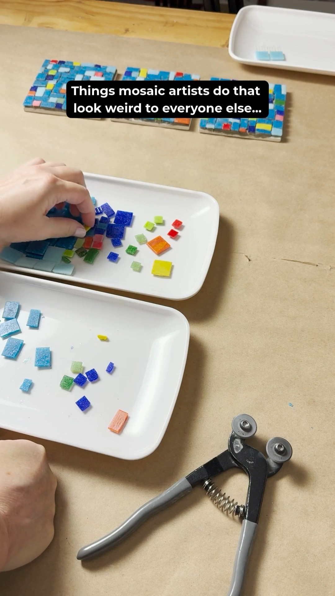 If you’ve ever turned a creative hobby into a serious craft, you know the funny little habits that come with it. 😉

For mosaic artists that might mean saving the tiniest glass scraps, obsessing over grout colors, or noticing beautiful tile and terrazzo floors everywhere we go. But honestly…most artists and makers have their own version of this.

When you spend a lot of time creating, you start to see the world a little differently.

In this video I’m sharing a few of the “totally normal to us, slightly weird to everyone else” things mosaic artists do. 😄

I also linked a few of the tools and supplies I use when working on mosaics, including my glass cutter, project trays, and some of the glass tiles I like to keep on hand.

For mosaic tips, tutorials, inspiration, and so much more please visit my YouTube channel: YouTube.com/julieweilbacher, and follow @julieweilbacher on Instagram for all things mosaic art.

#mosaic #mosaicart #glasscrafts #glassart #artisttools #crafting #creativespace #artstudio #craftingtools

#LTKHome #LTKstorytime