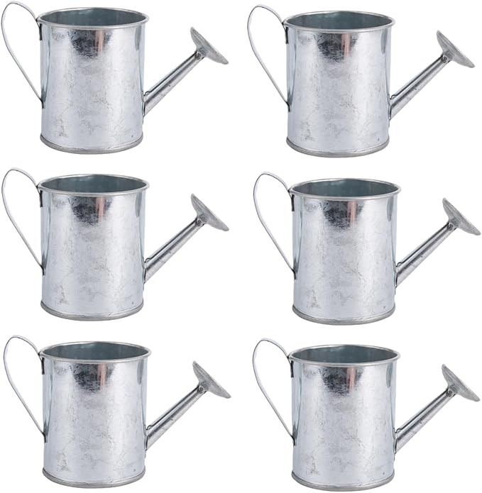 Mini Handmade Decorative Watering Can, Set of 6, Height 2.36 inch, Cute Metal Jug for Hand Crafts... | Amazon (US)