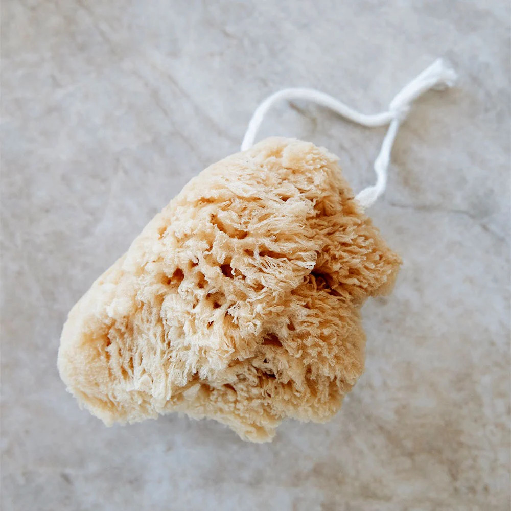 Large Hanging Natural Sea Sponge | Roan Iris