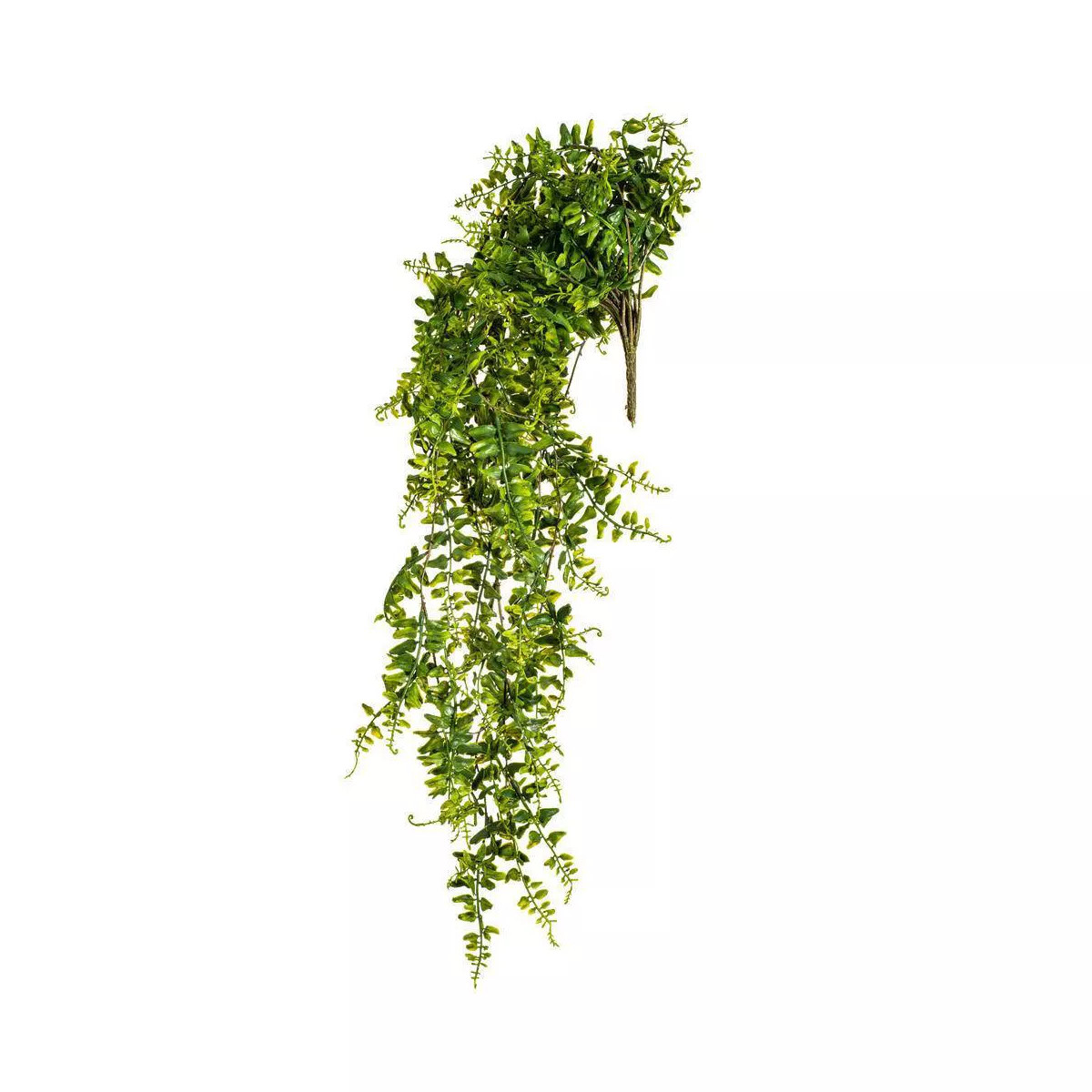 Vickerman Artificial Bucler Fern Vine 30": Indoor Polyester Faux Floral Spray, No Battery Require... | Target