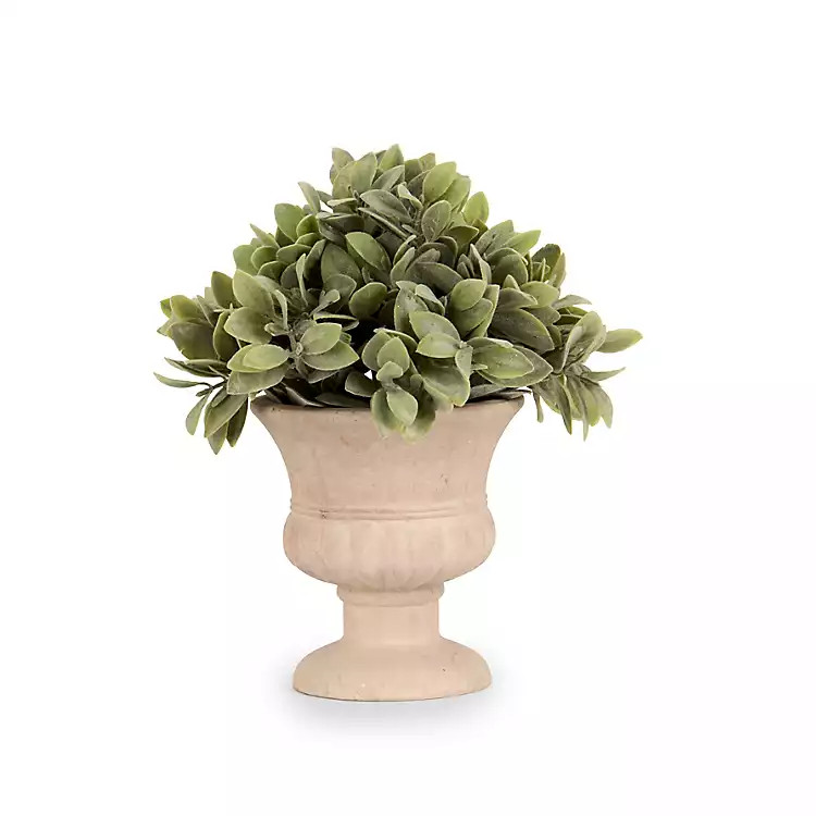 New! Boxwood Greenery Urn Arrangement, 9 in. | Kirklands