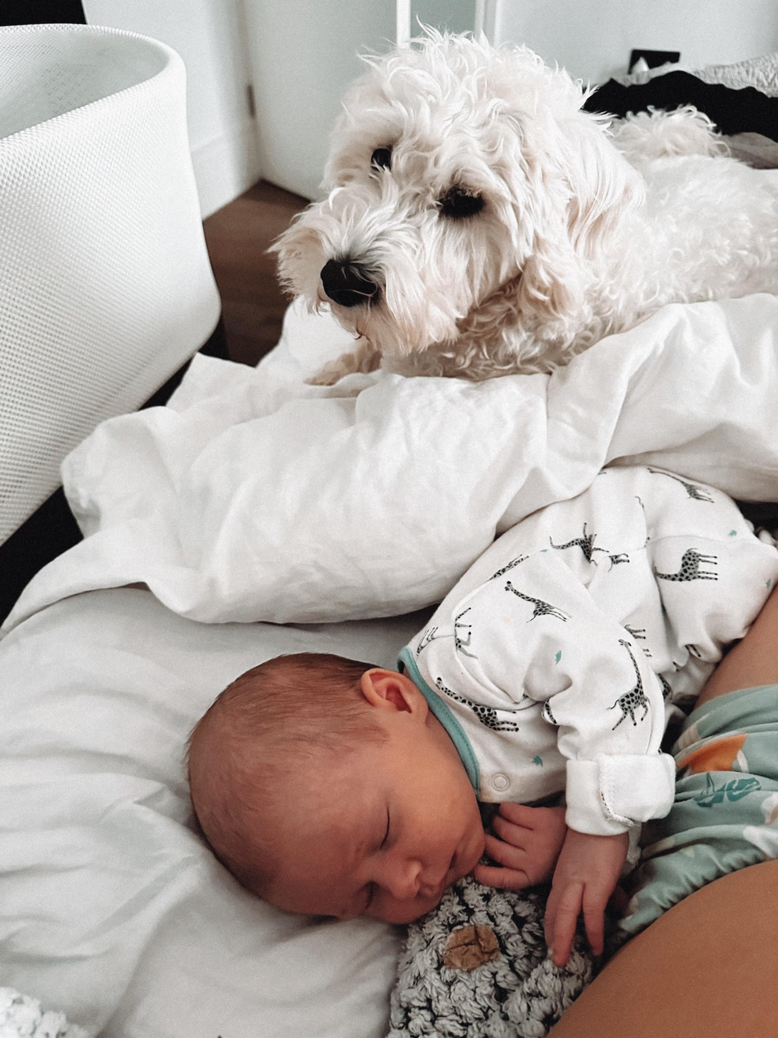 #LTKbump #LTKfamily #LTKbaby