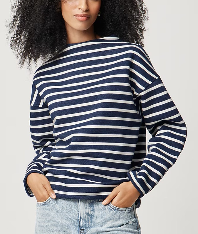 Navy and white striped mock neck sweatshirt 

#LTKSeasonal #LTKSaleAlert #LTKFindsUnder50