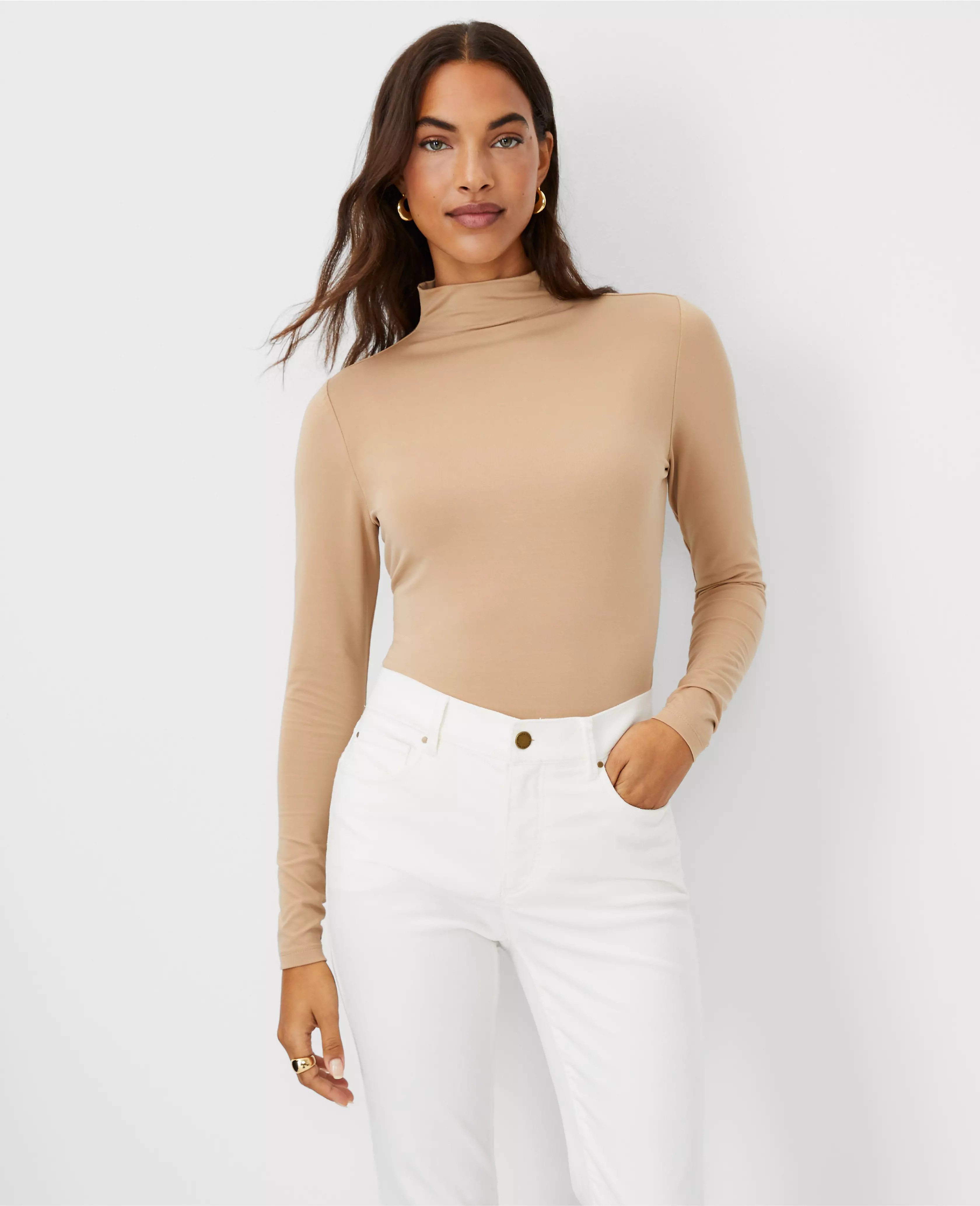 Long Sleeve Turtleneck Top | Ann Taylor (US)
