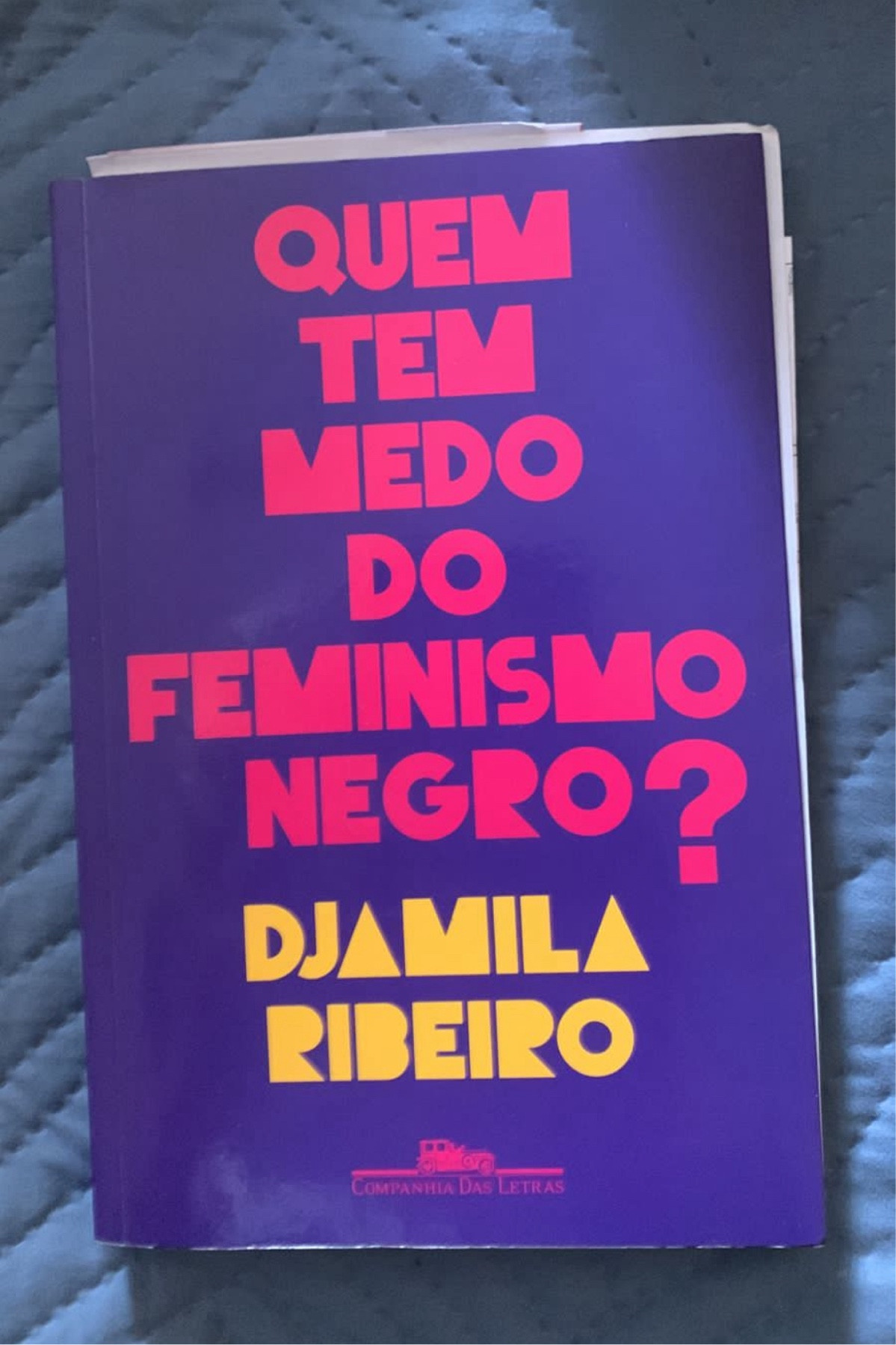 Um livro que traz uma conscientização incrível e como a sociedade pode avançar contra a discriminação e o racial estrutural. 