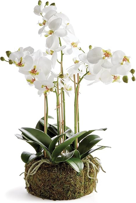 Napa Home & Garden Phalaenopsis Orchid Bowl Artificial Plant Drop-in White | Amazon (US)