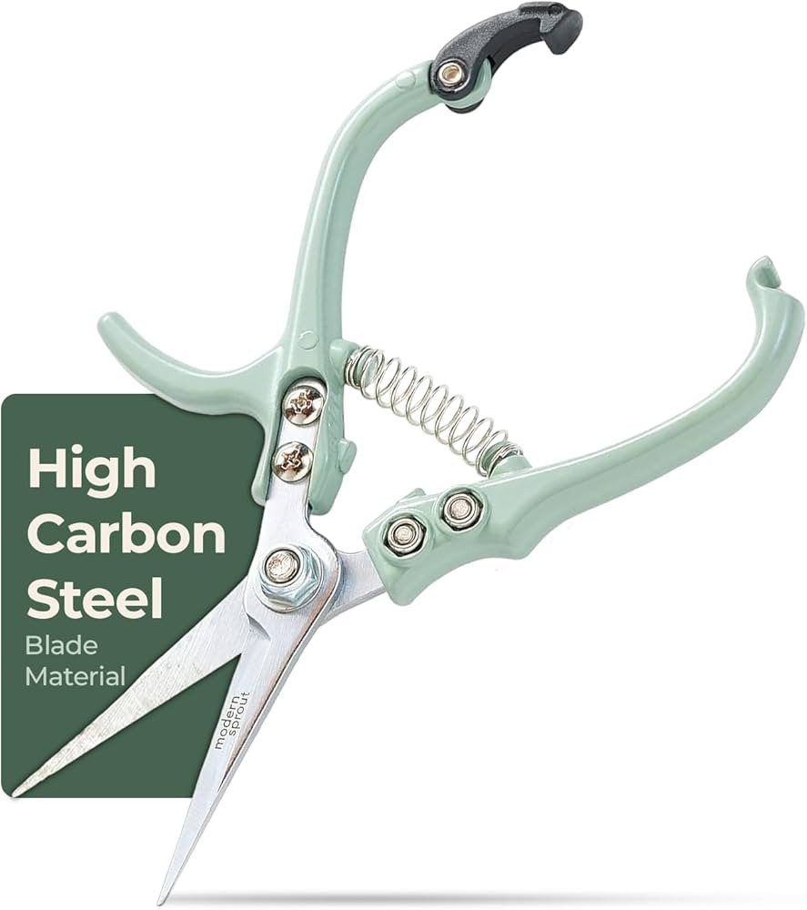 Modern Sprout Pruning Shears - Herb Snipping Scissors- Lightweight Gardening Tools W/Easy Lock - ... | Amazon (US)