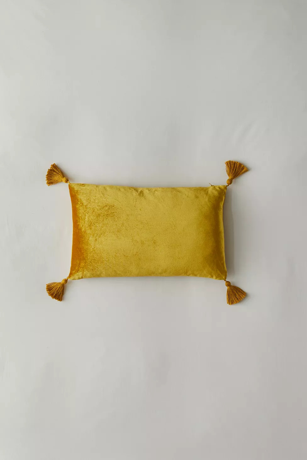 Raya Velvet Throw Pillow | Urban Outfitters (US and RoW)