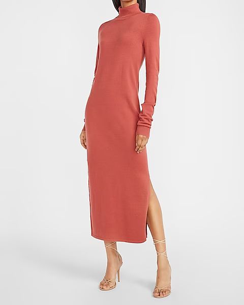 Turtleneck Maxi Sweater Dress | Express