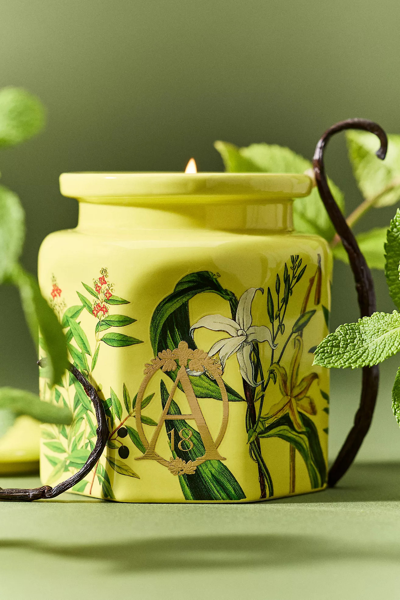 Apothecary 18 Woody Sandalwood & Vanilla Ceramic Candle | Anthropologie (US)