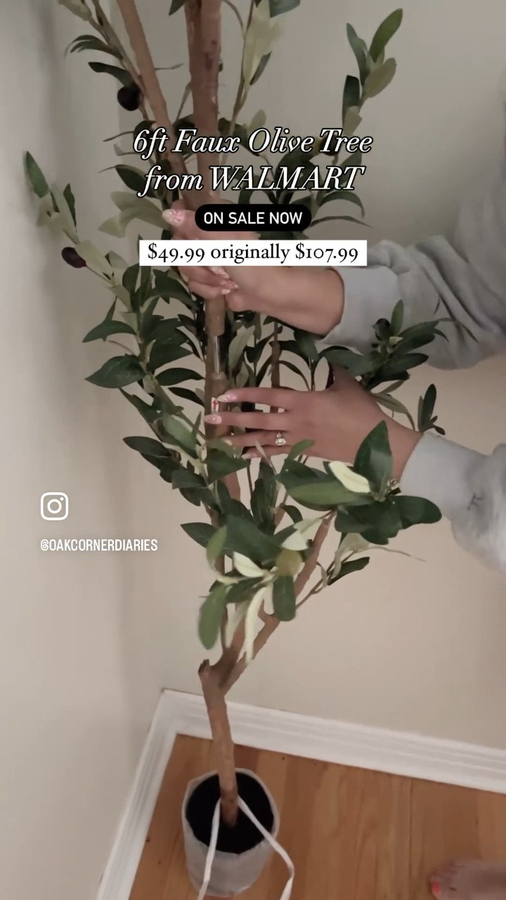 I am so excited to share with you all this amazing deal I found at @walmart 😍🪴🫒🤍 I have been wanting a faux olive tree so bad for the living room, so when I saw this amazing deal, I knew I had to get it! And after unboxing, I have to say I’m very happy with the quality and how it’s perfect in my home! Check out my LTK for a link to this 6ft faux olive tree for only $49.99



#HomeDecor #LivingRoomStyle #FauxPlants #OliveTree #WalmartFinds #BudgetFriendlyDecor #HomeInspiration #DecorOnABudget #LTKFinds #HomeGoals #InteriorDesign #NeutralHome #HomeSweetHome #CozyHome #OakCornerDiaries #DecorInspo #HomeStyling #FauxOliveTree #AffordableDecor #HomeDecorLovers #ModernFarmhouse #HomeDecorTrends

#LTKFindsUnder50 #LTKVideo #LTKHome