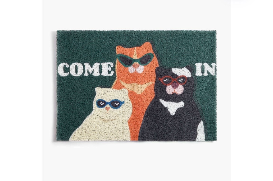 Cute and fun cat doormat under $20

#LTKHome