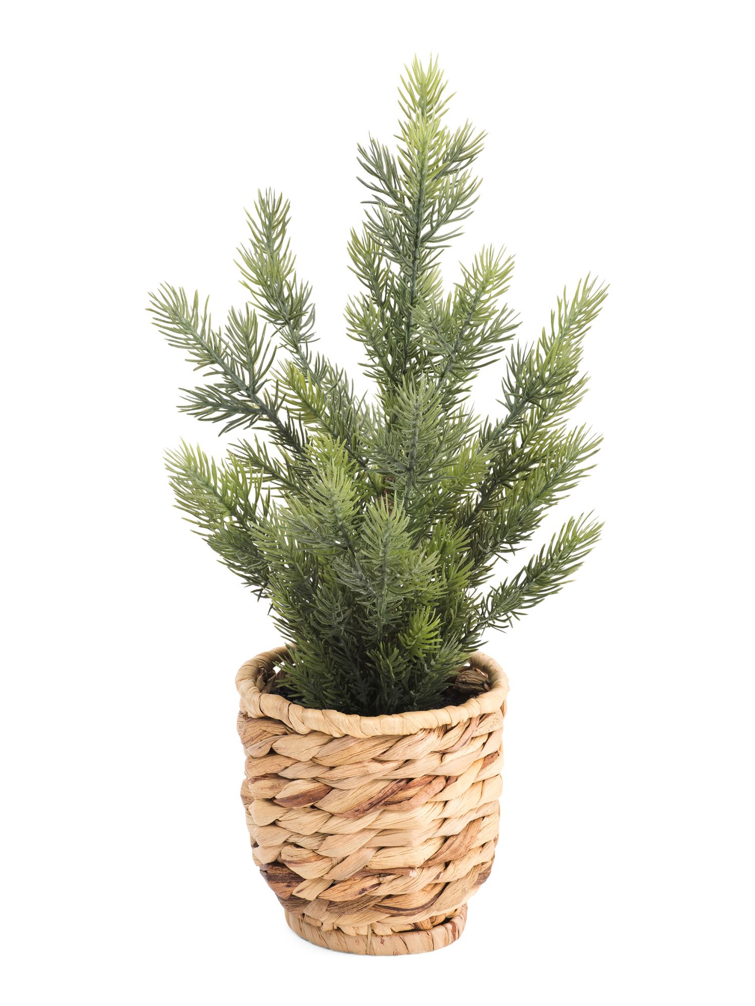 17in Fir Tree In Woven Basket | TJ Maxx