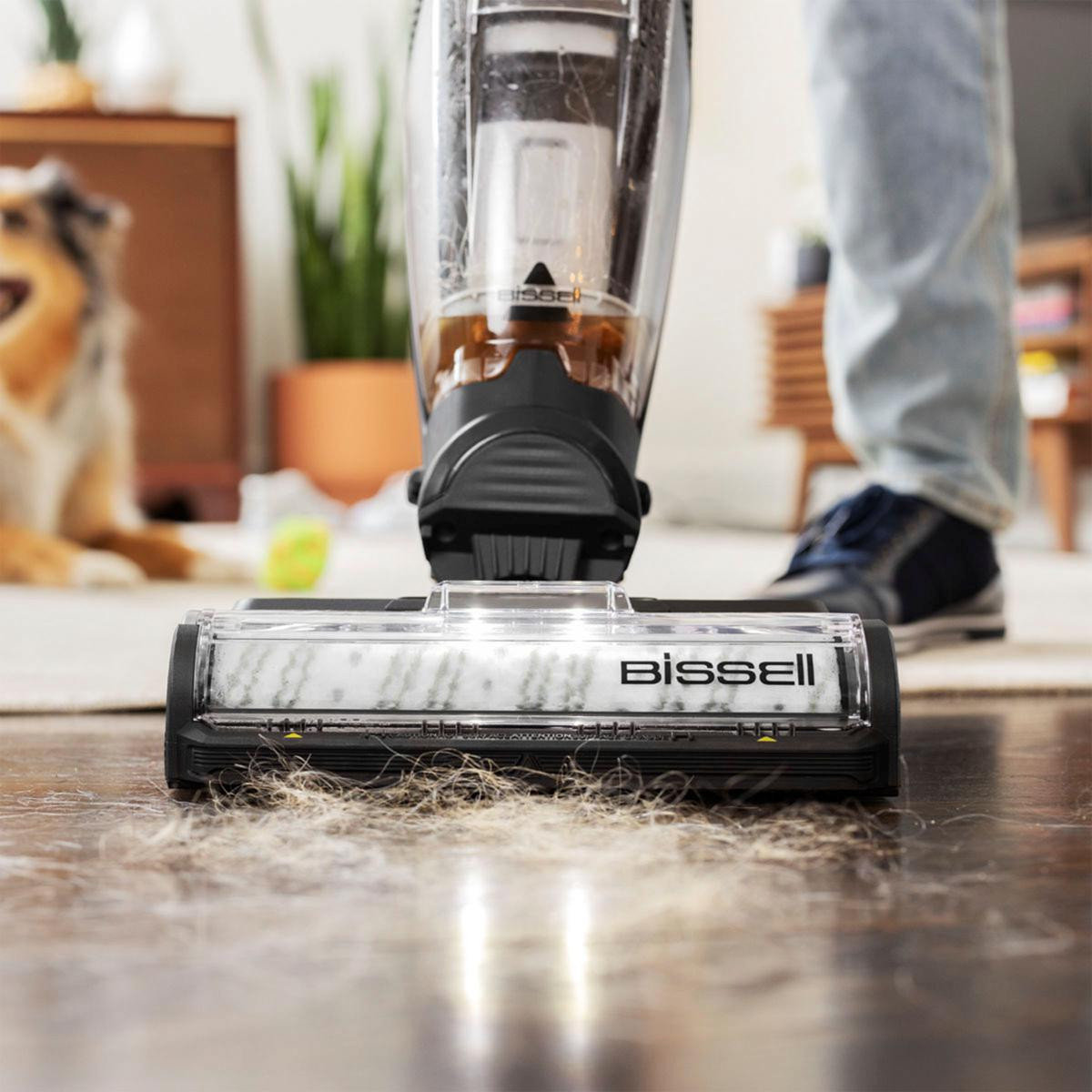 Bissell CrossWave HydroSteam Plus Wet/Dry Vacuum - 20794018 | HSN | HSN