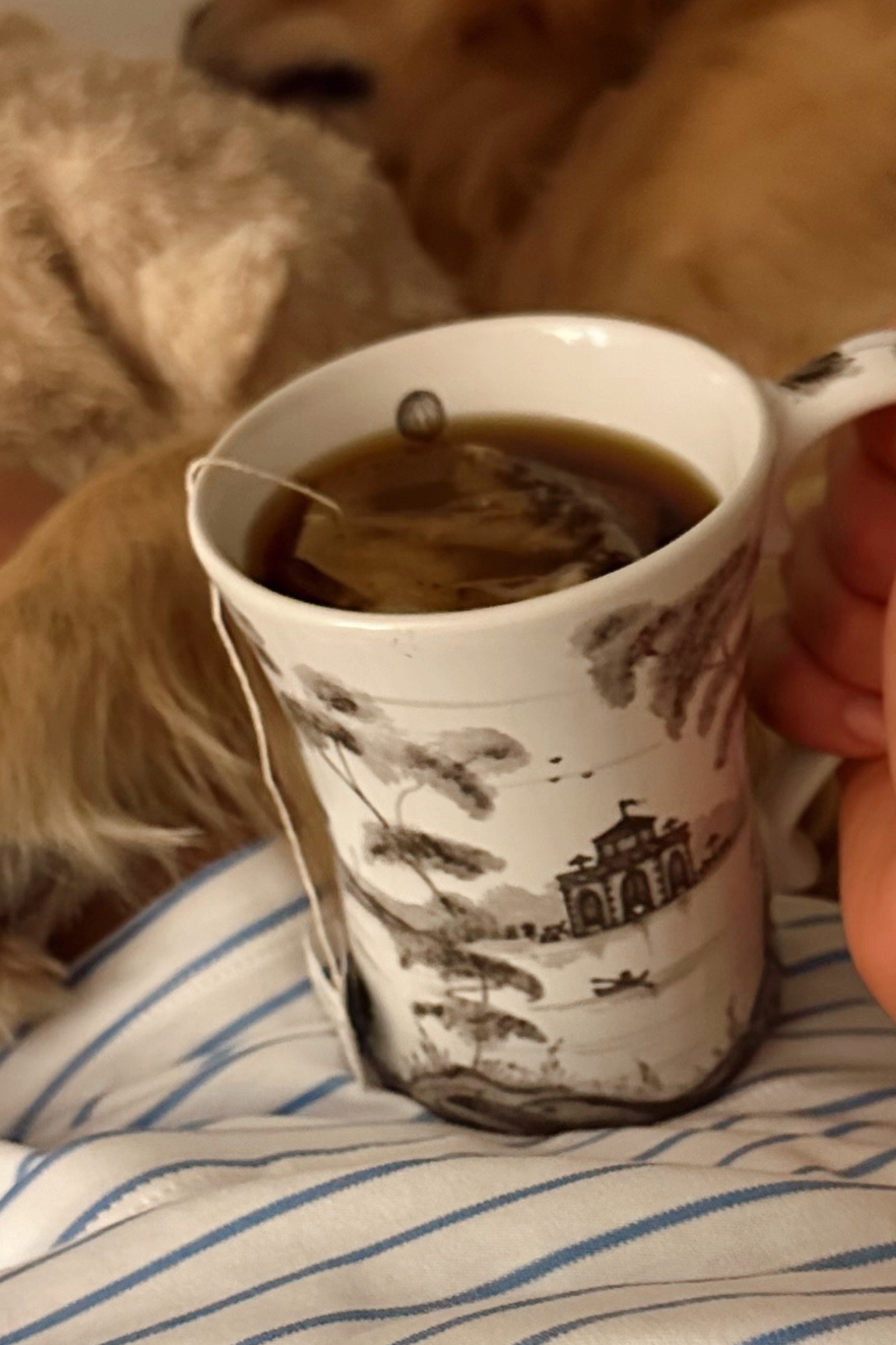 My favorite mug of all time!