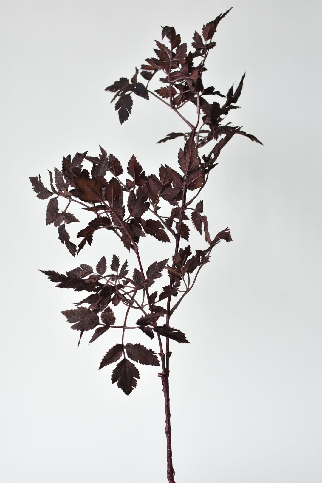 31" Faux Cimicifunga Ramosa Stem: Plum | HouseFloral