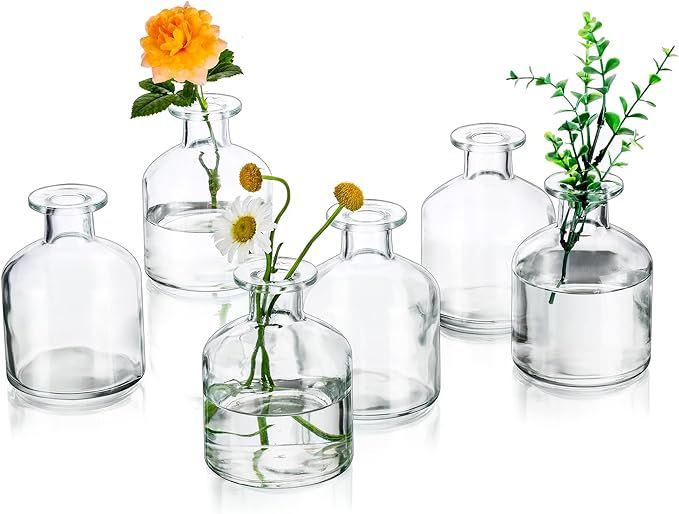Glasseam Glass Small Bud Vases: Mini Clear Vase Set of 6 Minimalist Flower Vases for Centerpieces... | Amazon (US)