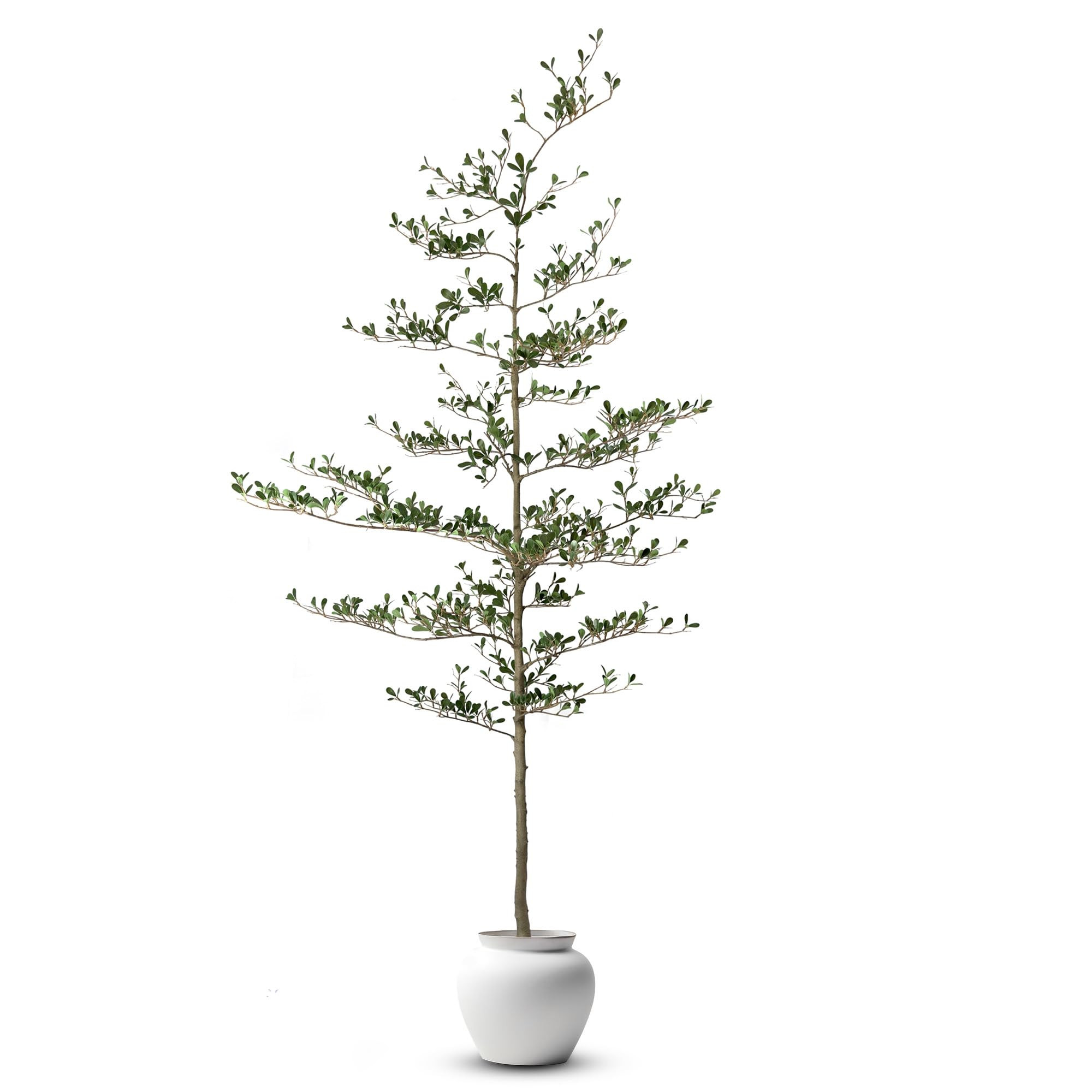 Everleaf 7.2 ft Tall Faux Black Olive Tree, Shady Lady – Artificial Indoor Tree with Bendable B... | Amazon (US)