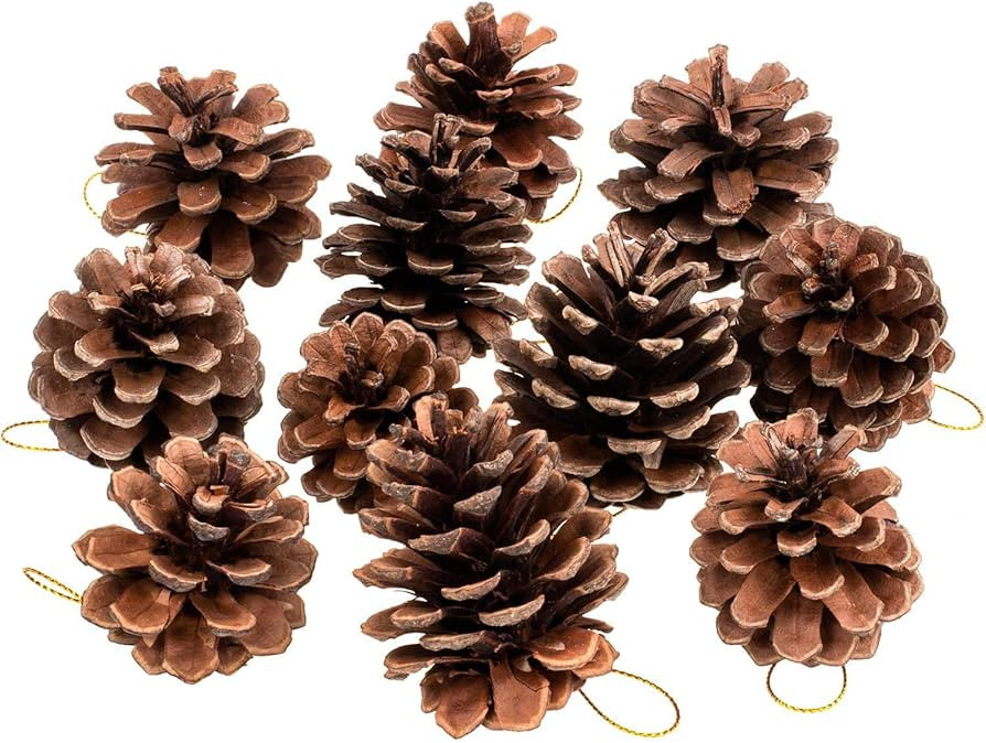 Whaline 25 Pcs Christmas Natural Pine Cones, Rustic Pinecones Bulk Ornaments with String for Craf... | Amazon (US)
