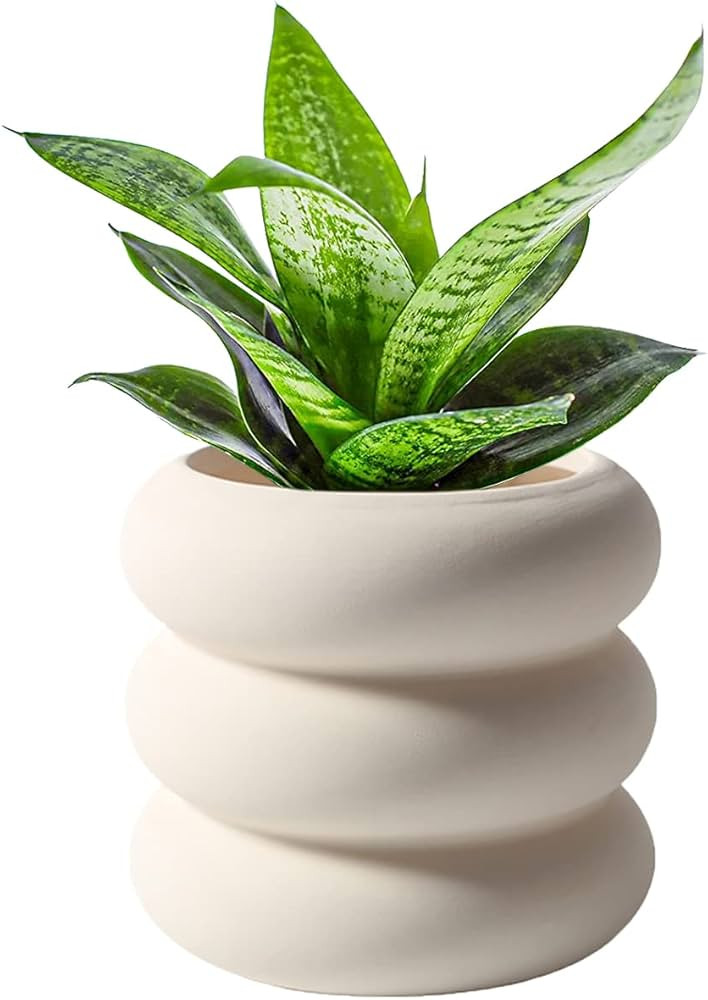 Ceramic Plant Pot Indoor, 4.5 Inch Beige Unglazed Flower Pot with Drainage Hole, Small Bubble Des... | Amazon (US)