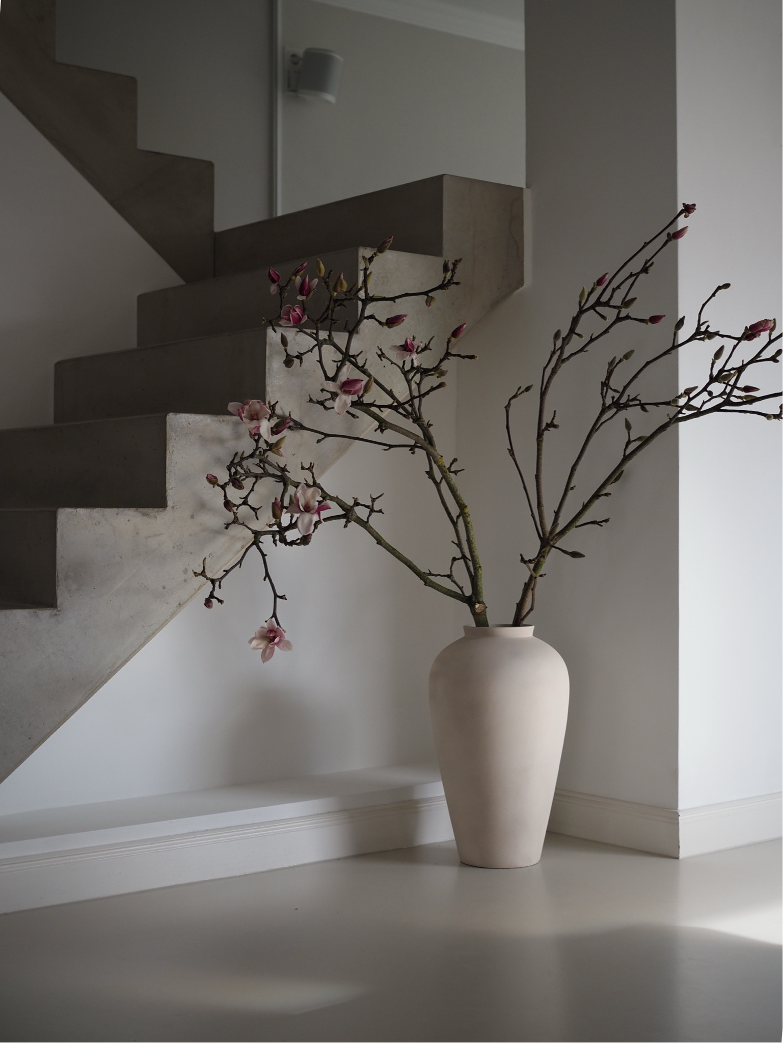 Magnolien-Liebe🌸

#LTKstyletip #LTKdeutschland #LTKhome