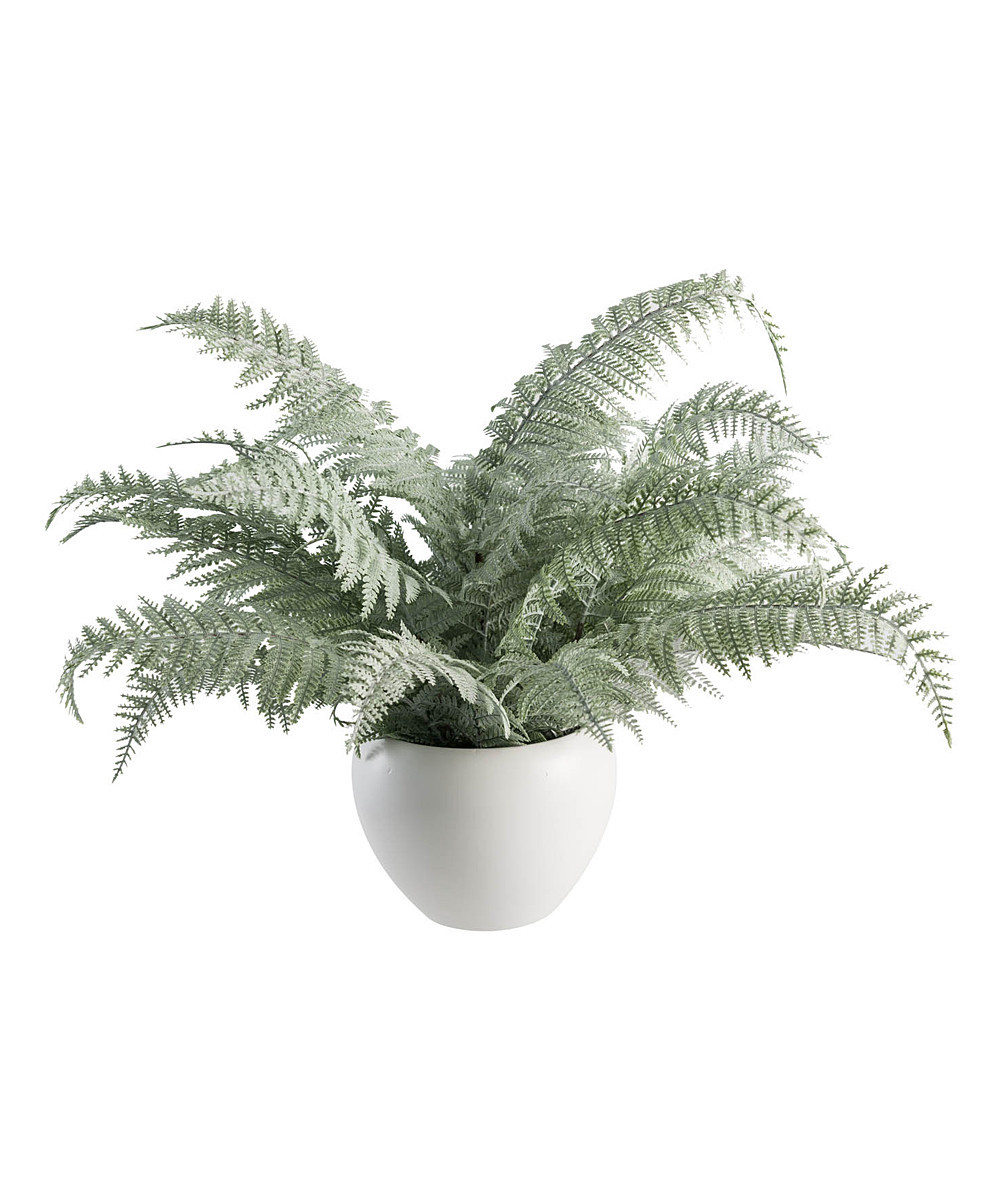 Hemsly Faux Plants Green - Green Potted Ceramic Flowering Fern Arrangement | Zulily
