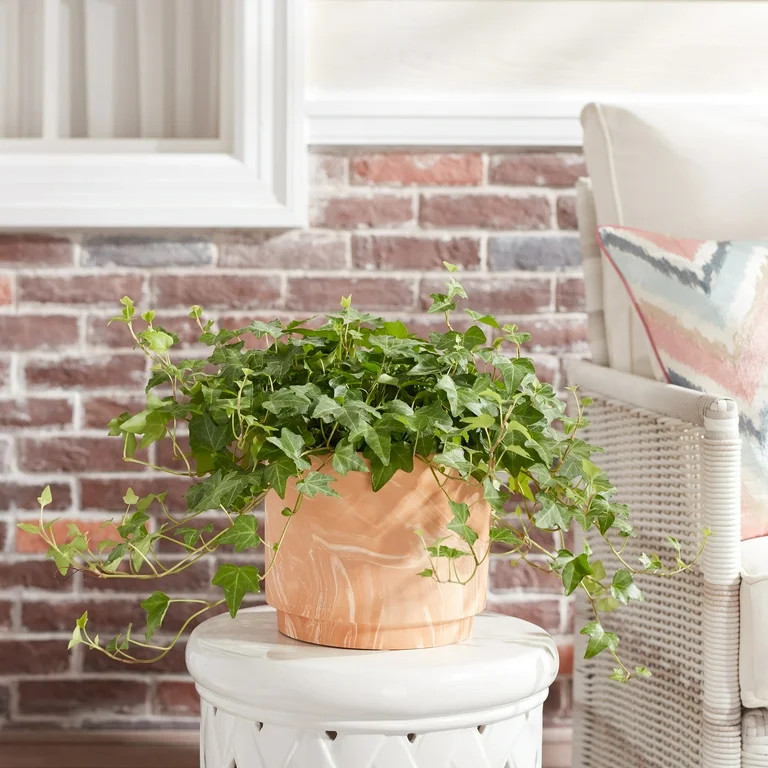 Better Homes & Gardens Pottery 8" Anne Terracotta Planter, - Walmart.com | Walmart (US)