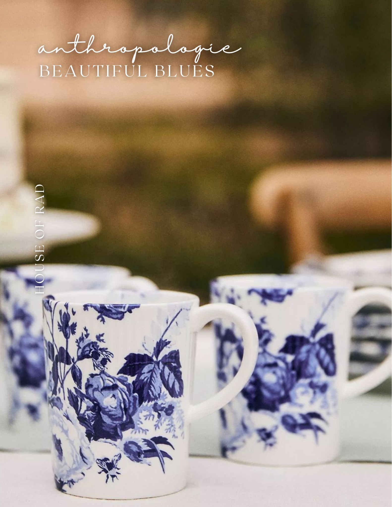 Anthropologie Beautiful Blues
Blue floral plates
Floral dinnerware
Blue home decor
Blue kitchen decor
Blue glasses
Silverware
Flatware
Place setting
Table setting


#LTKhome #LTKunder100