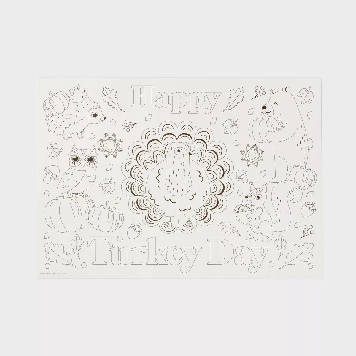 Thanksgiving 10ct Color Your Own Placemats - Spritz™ | Target