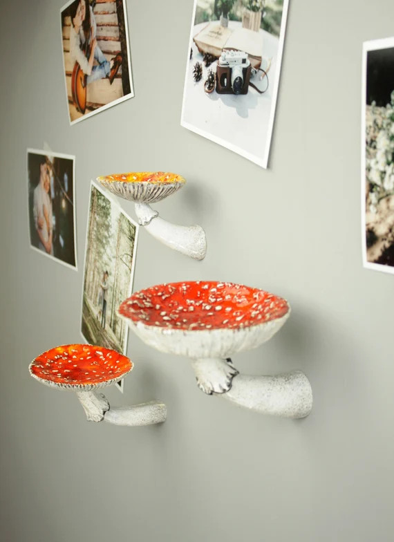 Mushroom shelf, hanging shelves, floating shelves, mushroom decor, white floating shelf, small pl... | Etsy (US)