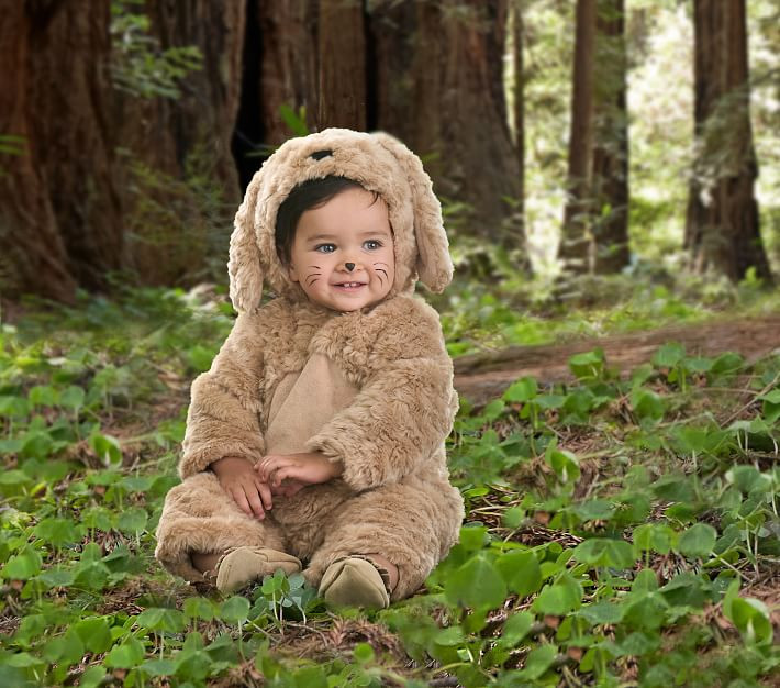 Baby Dog Halloween Costume | Pottery Barn (US)