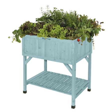 Vegetable container garden for small space. Blue wooden garden box for small yard.  Wayfair sale. Green thumb. Sustainable. Grow your own. Save money  

#LTKsalealert #LTKSeasonal #LTKFind