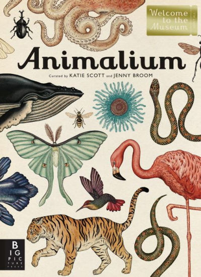 Animalium (Welcome to the Museum Series) | Barnes & Noble