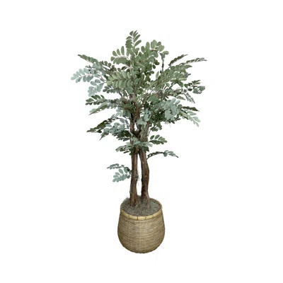 Organic Modern 4.5' Faux Moringa Tree | Wayfair North America