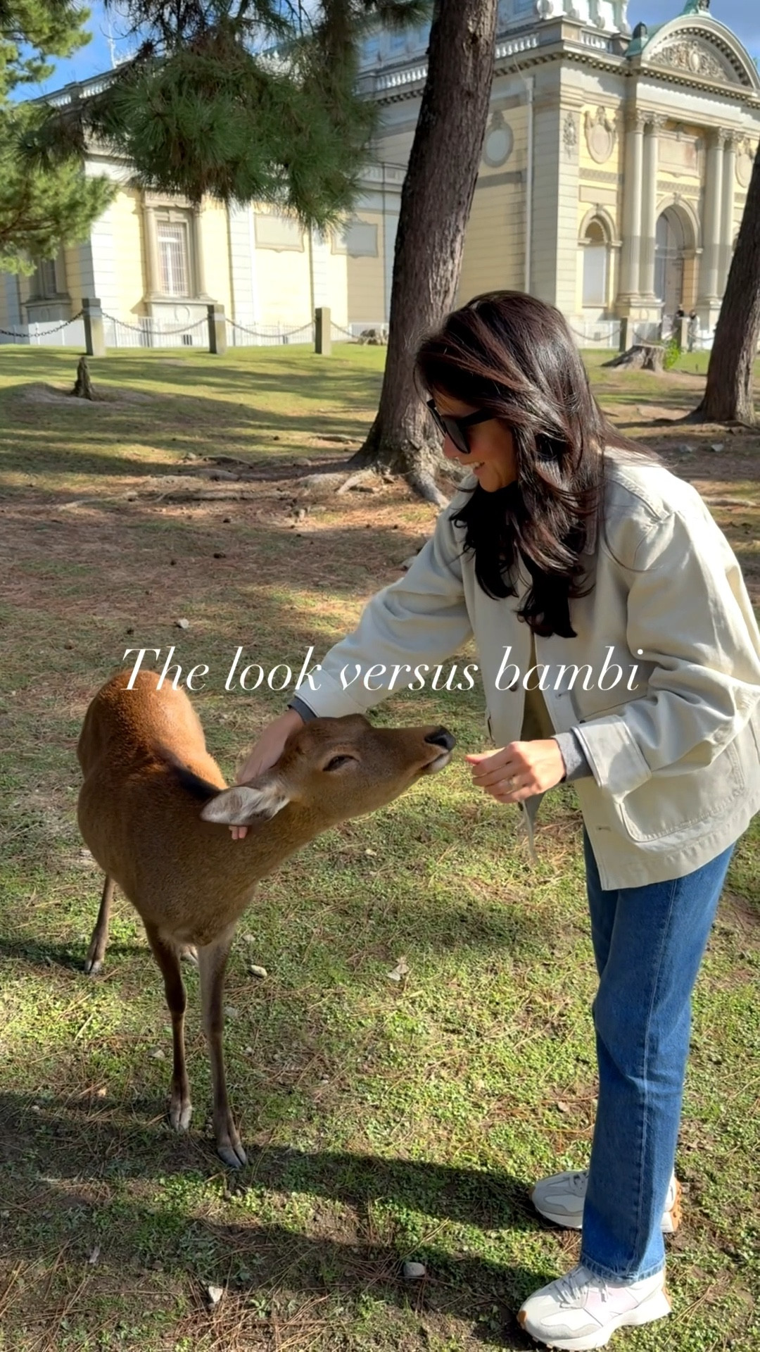 Bambi agrees that a barn jacket is a must for fall 🍂 

#LTKStyleTip #LTKSaleAlert #LTKTravel