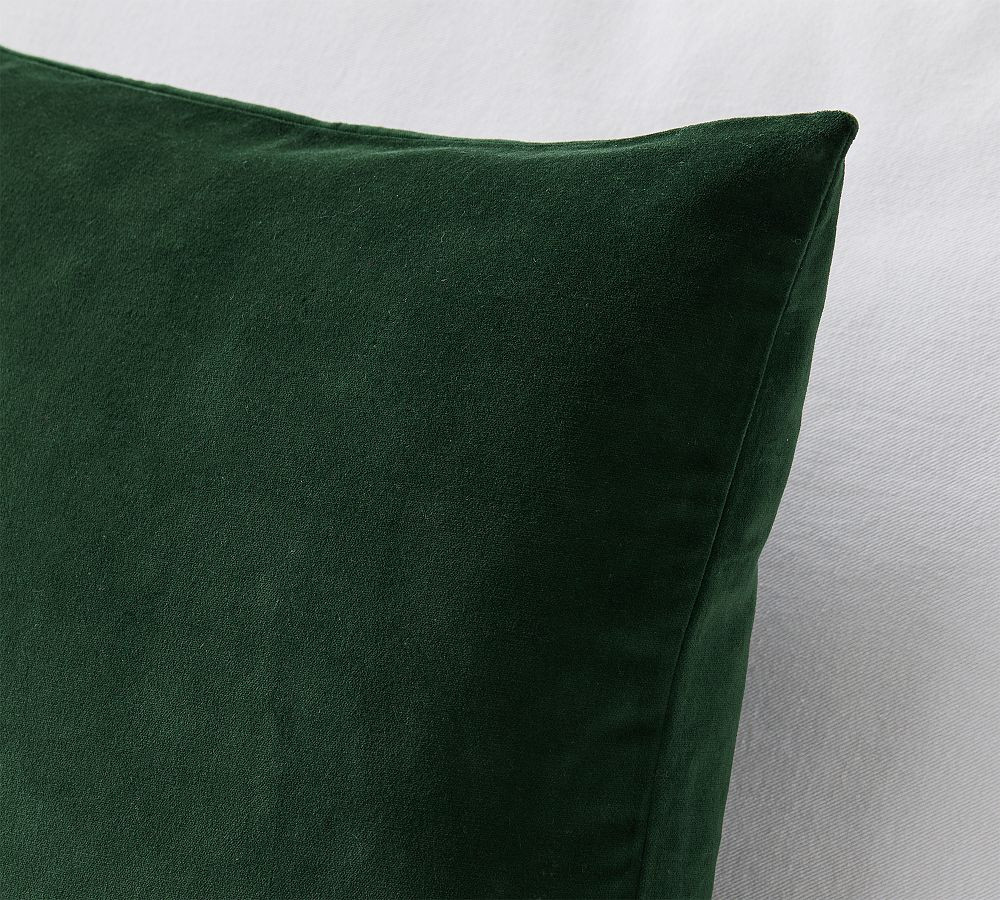 Everywhere Velvet Throw Pillow | Pottery Barn (US)