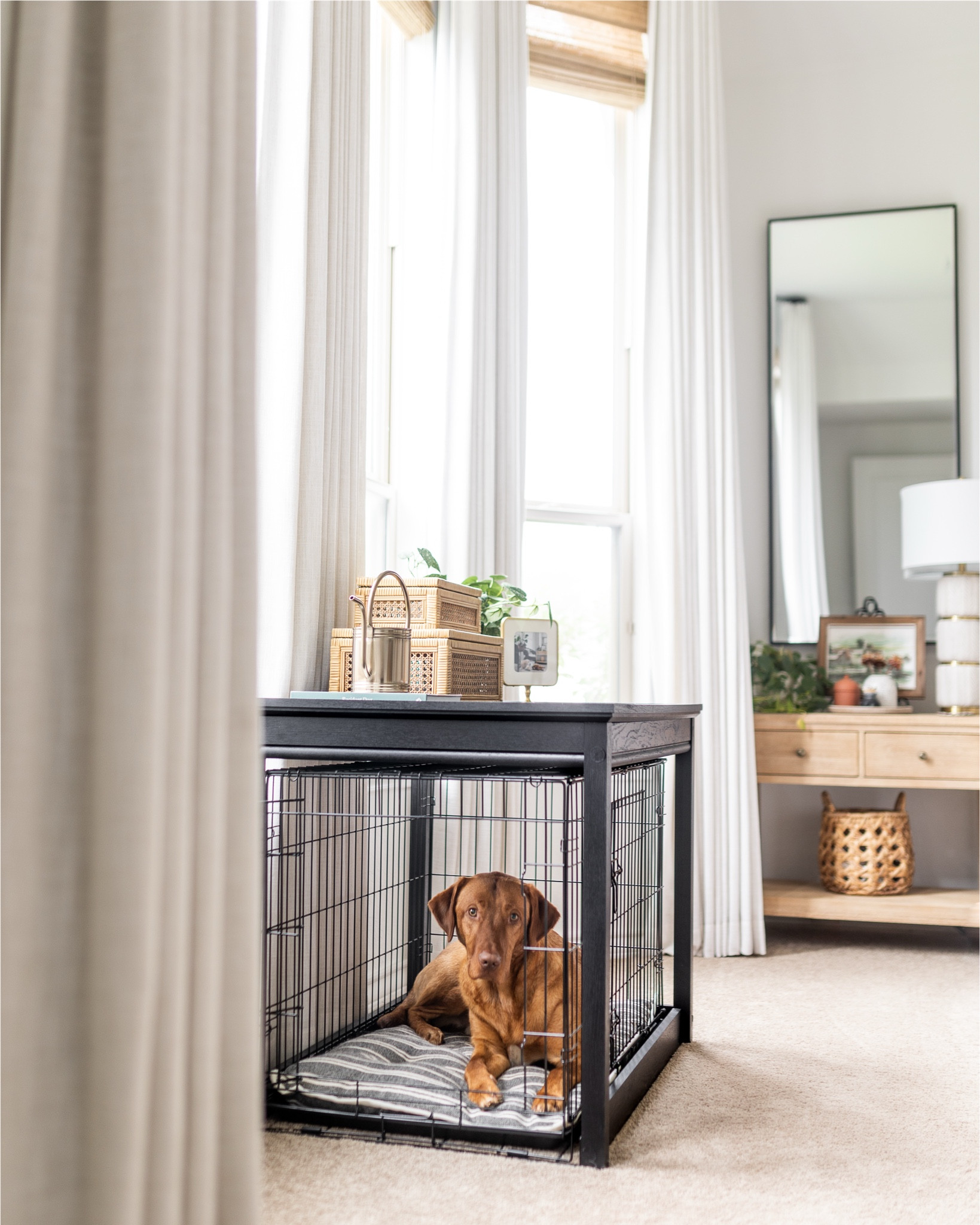This is your sign to spruce up the dog house! Love this crate tabletop cover to make dogs’ kennel more functional for our space.

#LTKStyleTip #LTKPets #LTKHome